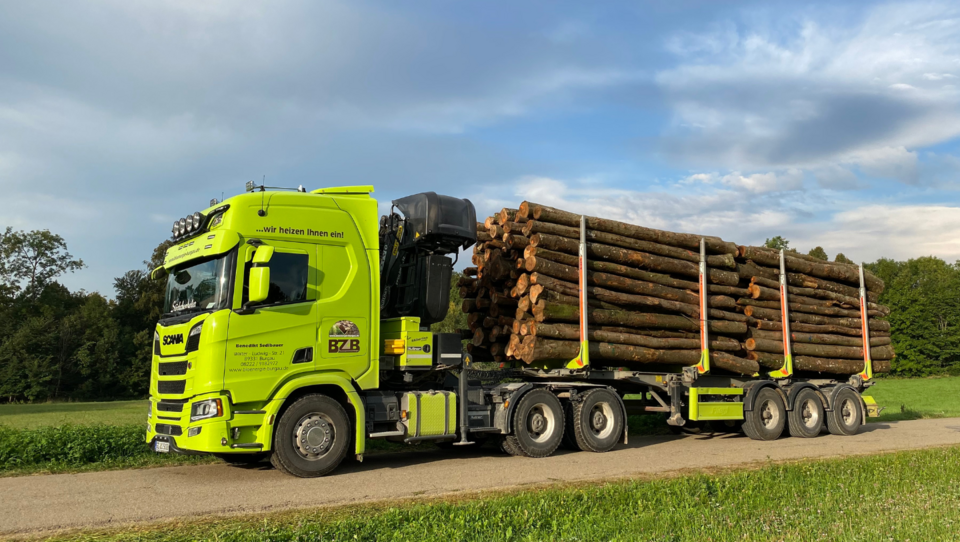 Titelbild stammholz.shop