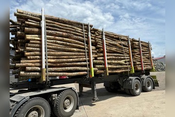 Aktionssortiment Buche/Esche