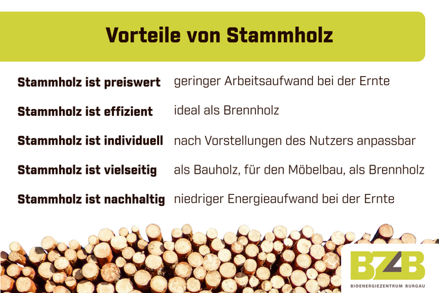 Vorteile von Stammholz als Brenn- und Bauholz