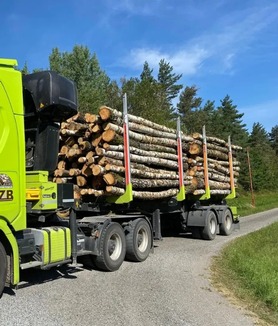 Laubholzmix